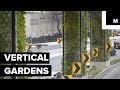 Mexico City's Highway Pillars Become Vertical Gardens