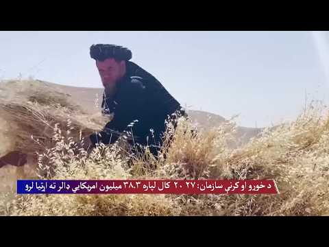 Video saMs7Ykteo4