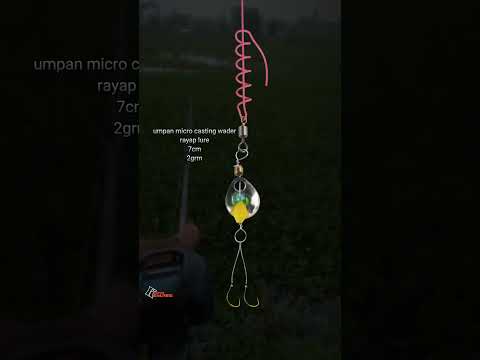 Cara mengikat lure