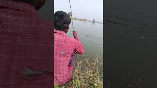 Unexpected fishing adventure!  Fisherman takes a hilarious tumble! 🐟🎣 #fishing #short #viralfishing