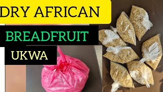 Dry African Breadfruitukwa How To Preserve It 