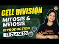Cell Division | MITOSIS & MEIOSIS | Reproduction | TS Class 10