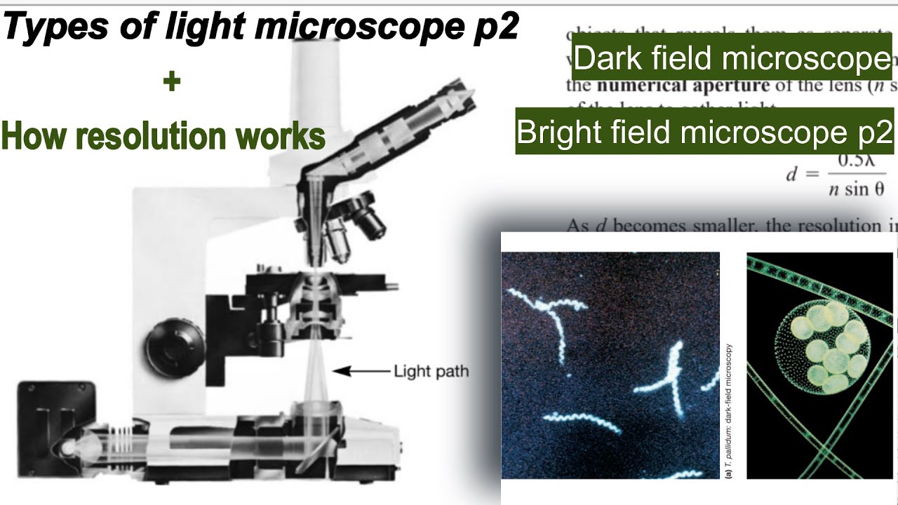 Light microscope types p2| Study with me| Prescott's Microbiology| Day ...