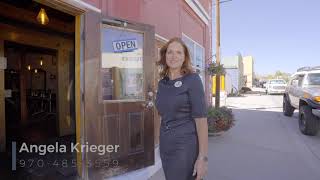 Commercial Property 501 Front St Fairplay CO- Business & Structure For Sale