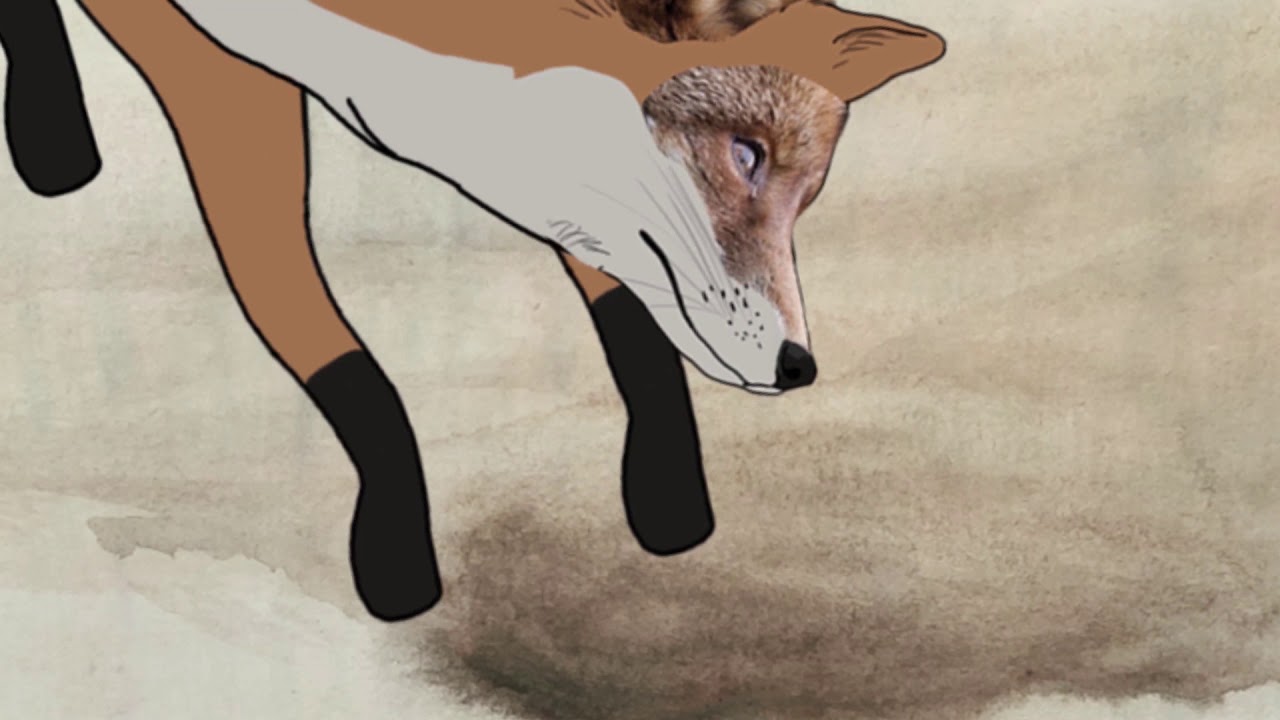 The Act Fox hunting animation YouTube