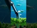 Ocean Farming — The Future Beneath the Waves.”🌊🌱🤖
