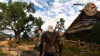 The Witcher 3 Shadowplay recording test 4k@30fps