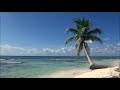 Al Afasy-Al Baqarah (with relaxing beach sounds)العفاسي-سورة البقرة-مع صوت البحر