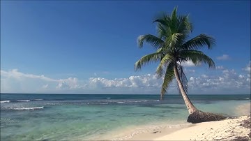 Al Afasy-Al Baqarah (with relaxing beach sounds)العفاسي-سورة البقرة-مع صوت البحر