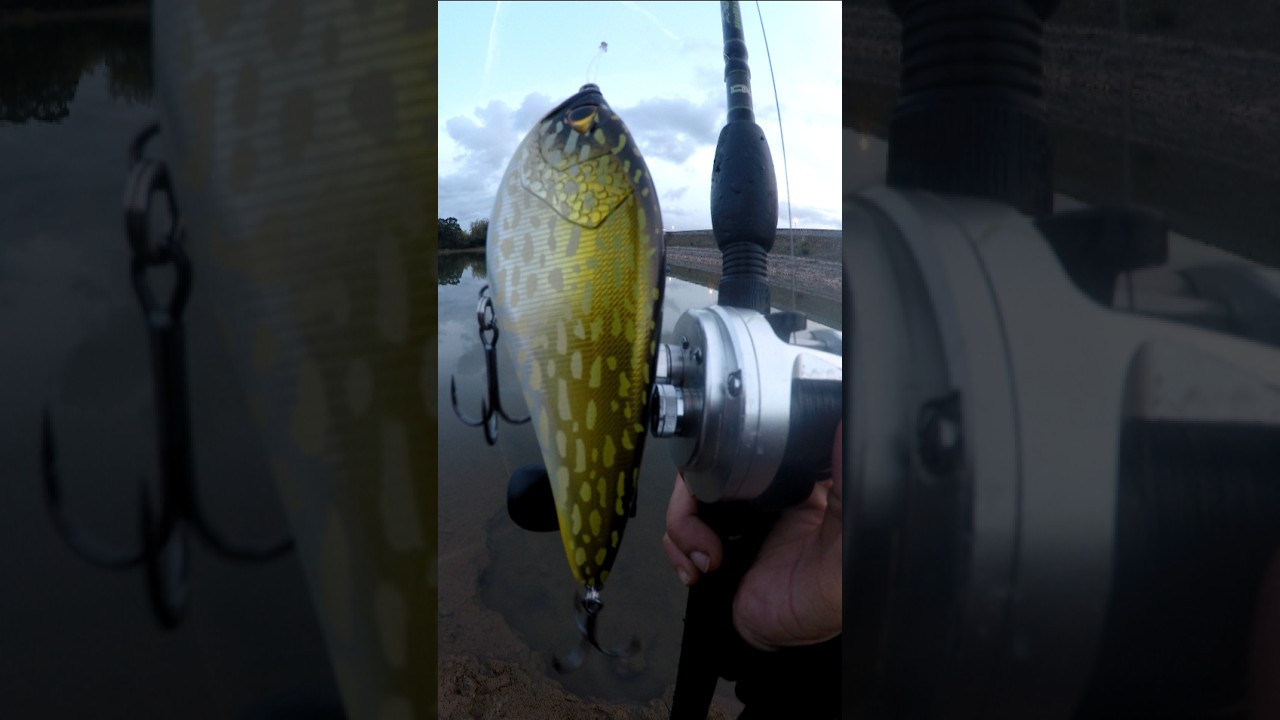 estrenando carrete y jerck 