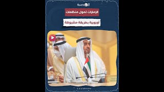 مبالغ ضخمة قدمتها الإمارات لمنظمات أوروبية بطريقة غير شرعية من أجل تمرير أهداف خبيثة