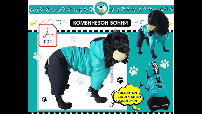 Товары для дрессировки собак купить. Совместные покупки на сп.