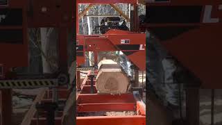 Sawing 1st Edging Slab From First Poplar After Easter 4/9/23
