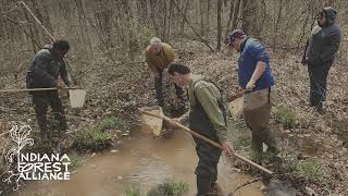 IFA EOY Appeal 2025 Dave Seastrom 2 Medium Length