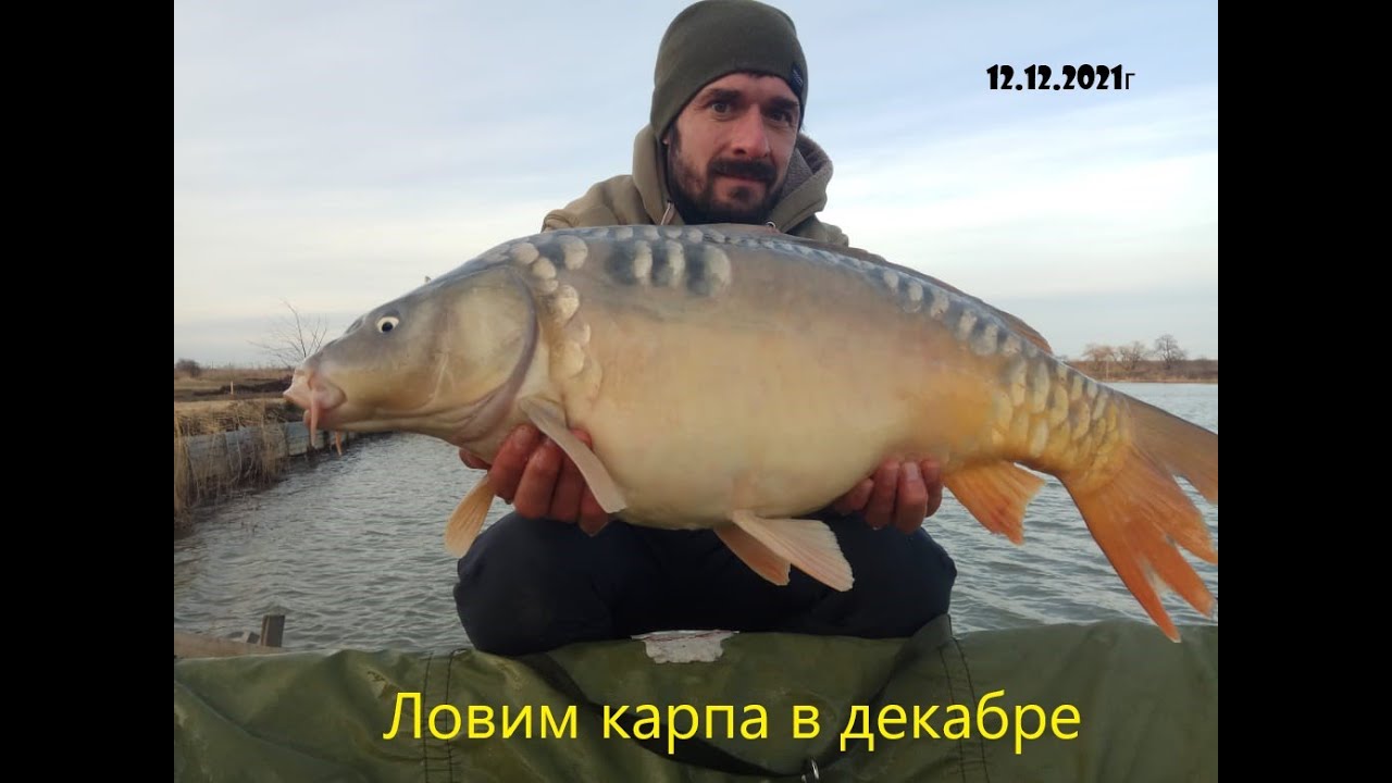 Озера адыгеи рыбалка цена и отзывы Озера адыгеи рыбалка цена и отзывы