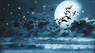 amazing night sky with moon Clouds sta And Flapping Brid | Stock video background #background #video screenshot 4