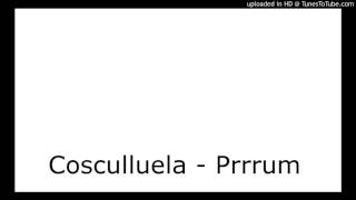 Cosculluela - Prrrum