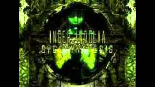 Inger Indolia - Forlorn Spectral Kingdoms