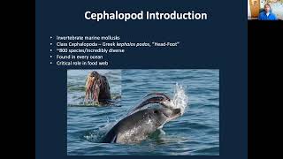 Let's Get Kraken: Cephalopods Coast to Coast