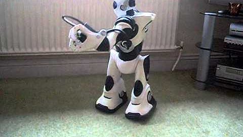 Robosapien V2 Rolls onto his Back!!