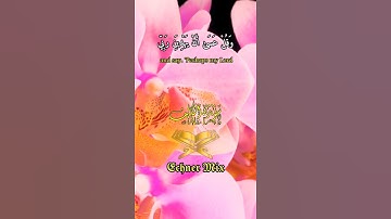 حالات واتس - سورة الكهف الاية 23 - للقارئ | إسلام صبحي