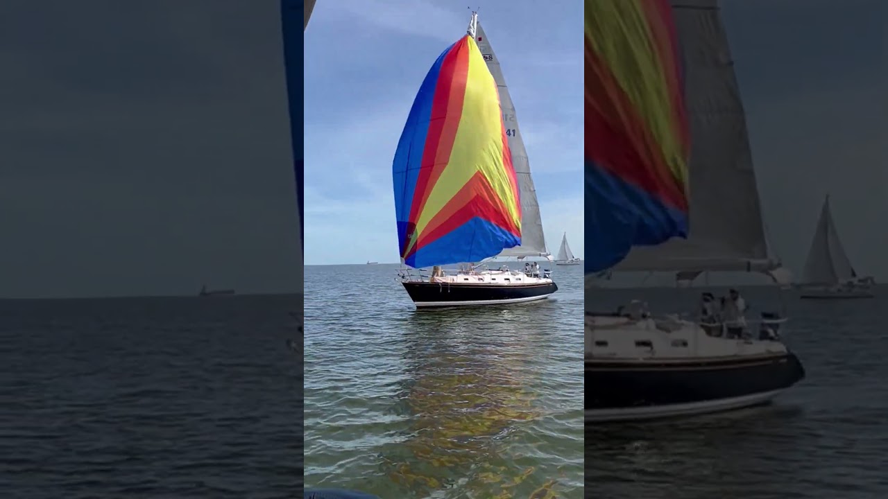 Peanut Regatta 41 on Galveston Bay #shorts