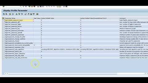 SAP Cyber Security - RSPFPAR Report
