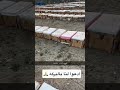 ٢٦ أبريل ٢٠٢٦
