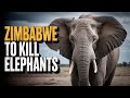 Why Zimbabwe Wants to Kill Elephants | Can India Save Them? #ideazoomacademy
