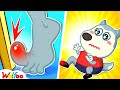 Baby Got a Boo-Boo 😭 | Boo Boo Song | Wolfoo Kids Safety Tips | Wolfoo Family
