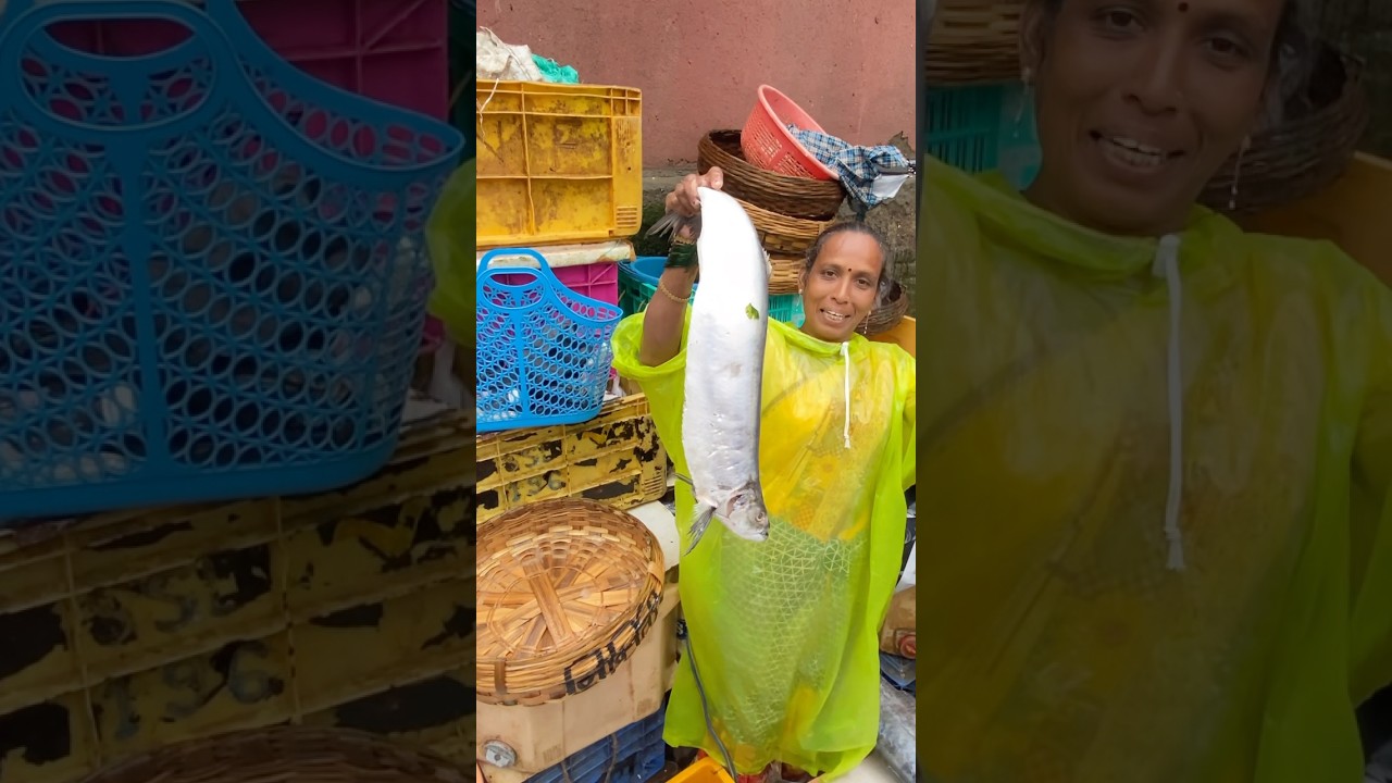 कर्ली मासा, Karli, Silver Bar Fish | एकदम मोठी सुरमई, Very Big Surmai Fish