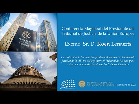 La protección de los derechos fundamentales en el ordenamiento jurídico de la UE