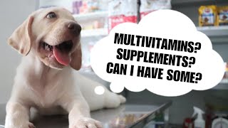 MULTIVITAMINS? SUPPLEMENTS? What options do we have?