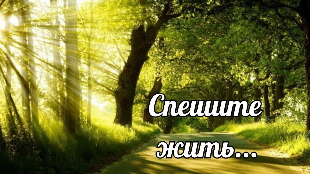 СПЕШИТЕ ЖИТЬ! /лучшие стихи для души /рассказываю любимую поэзию.От ...