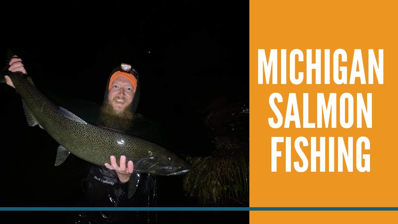 Michigan Salmon Fishing / King Salmon Fishing Michigan Rivers / Spawn