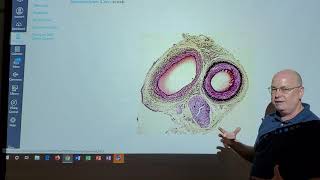 Professor Long 2402 Lab 2.1 Blood Cell Slides