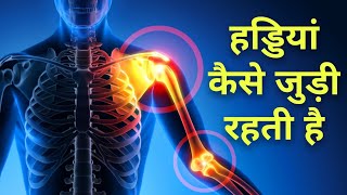 हड्डियां आपस में कैसे जुड़ी रहती हैं - Bone joints in hindi screenshot 5