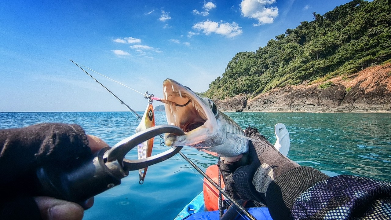 ไอ่แฮ็ค ตัวรวบสาย เกาะช้างเลี้ยวขวา บางเบ้า Sawtooth Barracuda