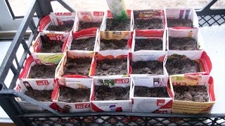 Практичные Поделки Своими Руками. Как за 3 Минуты Сделать Из Бумаги Стаканчики для Рассады Практичные Поделки Своими Руками. Как за 3 Минуты Сделать Из Бумаги Стаканчики для Рассады