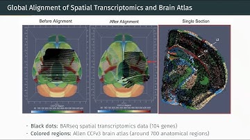 3D registration for spatial transcriptomics - Benjamin Charlier - Shape seminar
