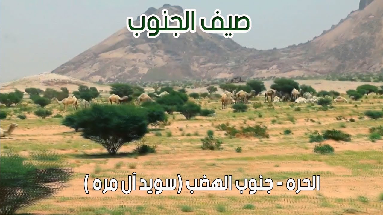 صيف الجنوب | الحره - جنوب الهضب ( سويد ال مره )