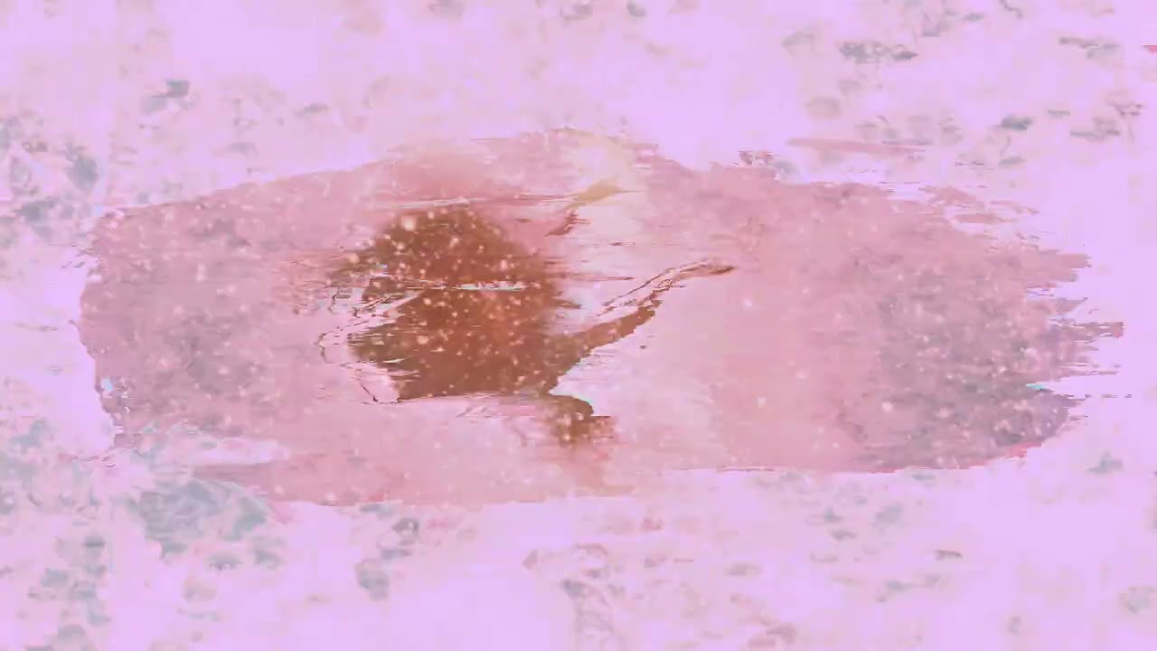 Anna Asti - ФЕНИКС REMIX - Dimas & D MUSIC