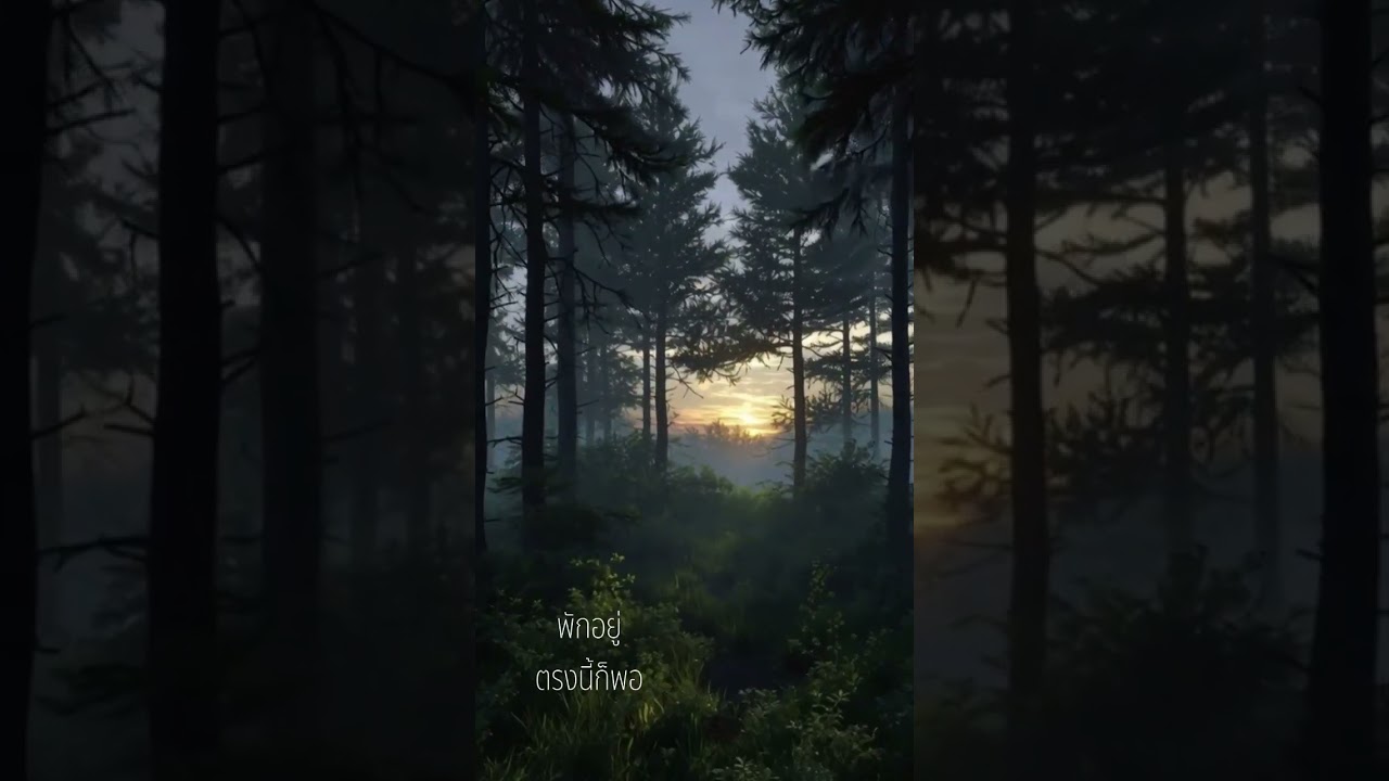 พักอยู่ตรงนี้ |  Calm Ambient Soundscape | คำคมเล่าเรื่อง