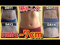 【美くびれデザイン】食事制限＆運動なし！やってみたら 5日で激変