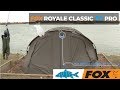 Fox royale classic tt pro bivvy  exclusif  total fishing tackle
