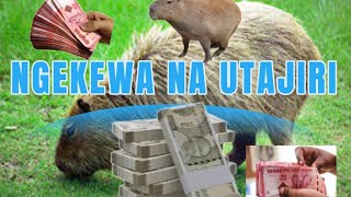 NGOZI YA NGEKEWA NI DILI KUBWA SANA