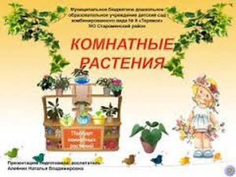 Паспорт комнатных растений