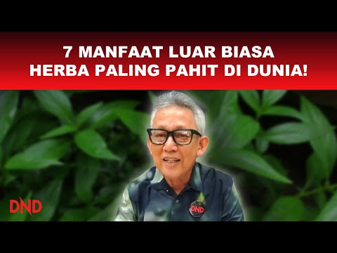 Video: Apa Itu Basil Limau: Petua Menanam Basil Limau Di Taman