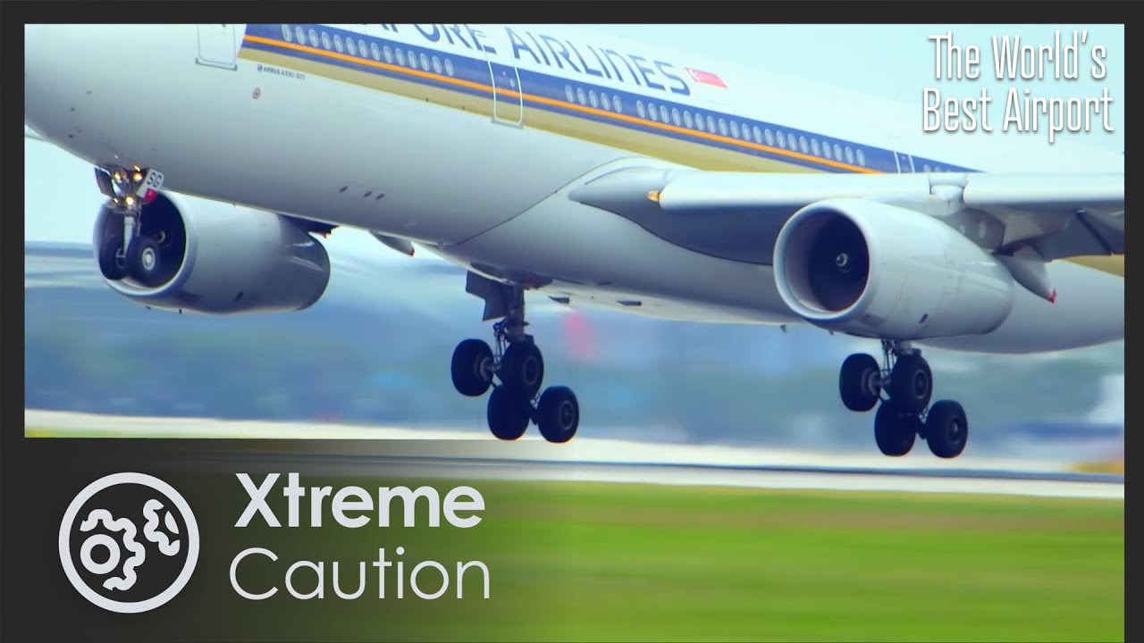 Film backdrop image for Protect and Secure | The World's Best Airport 1/4 (2025)