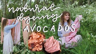 How To Naturally Dye Fabric with Avocados & Get Pink Dye!